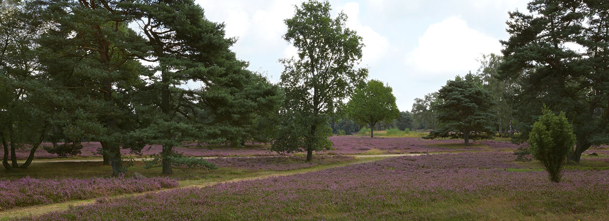 Geflügelhof Nordheide: Impression