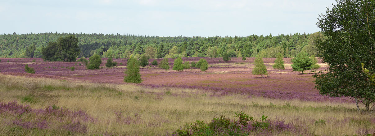 Geflügelhof Nordheide: Impression