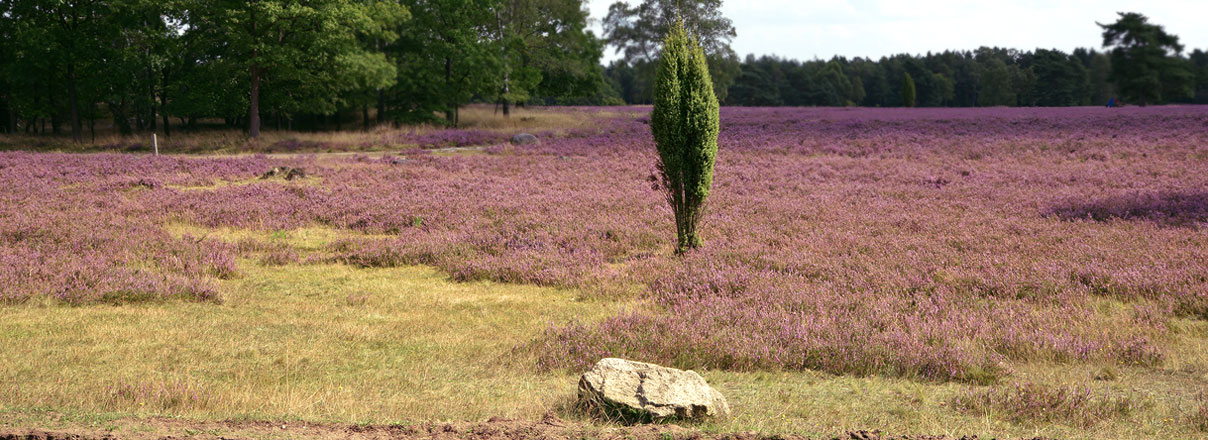 Geflügelhof Nordheide: Impression